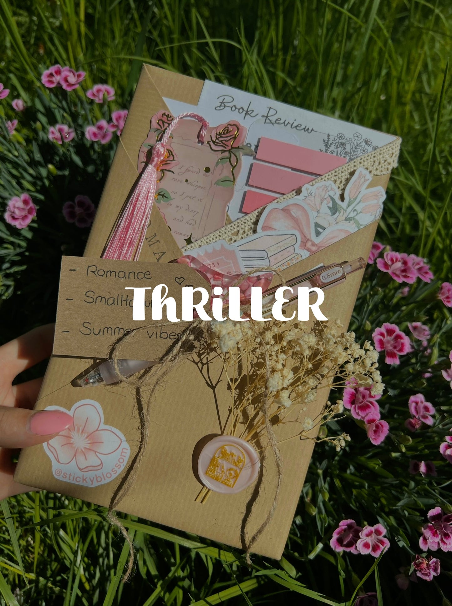 Buch blind Date | Thriller
